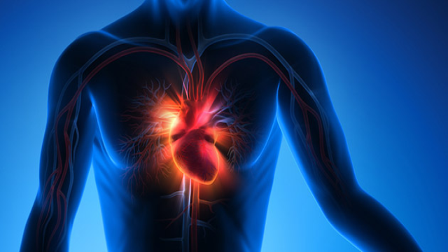 Cara Menjaga Kesehatan Jantung Secara Efektif Menurut Pakar Kesehatan